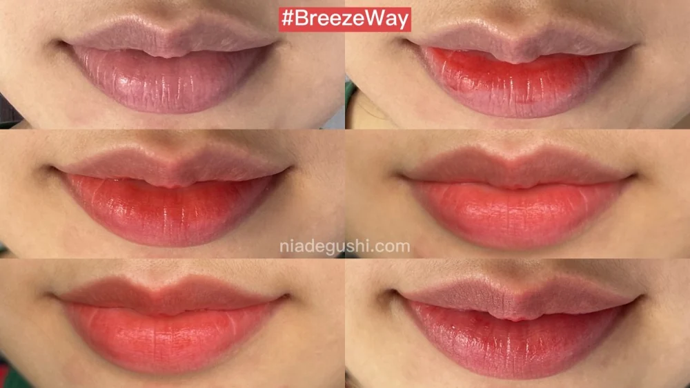 Six-panel 2023 NIAdegushi Breeze Way lip sequence with original watermark, varying application and lighting